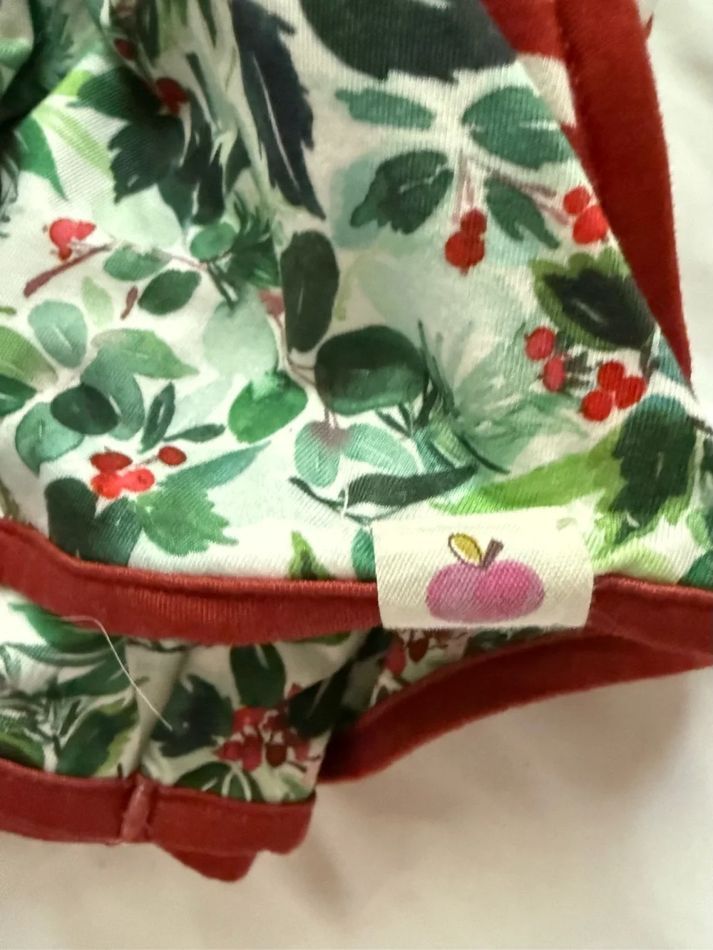 Girls Floral Holiday Dress with Red Trim and Berry Print